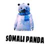 somalipanda34