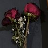 saeed6_8