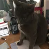 timb00000