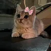 doda_da