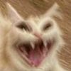 user18ki