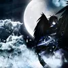 yiel_0428