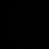 turkinnsa03