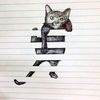 cat.juanca