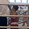 mr.boxing_2012