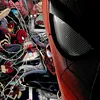 alvin_alvin16