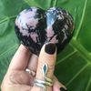 tropicaexotica