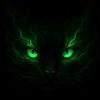 gatico.live