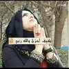 hananhanan0212