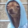 samuel_da_beast1