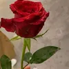 esoi1234567890