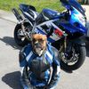 eduardo_garcia515