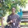 josehmj10