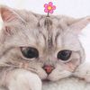 nan089147