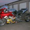 rattlesnake69691mfm