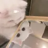 yoojoonghyukie