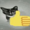metanacucoalaonecoin