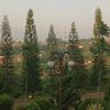 haidar_2639