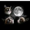 partysloth324