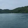 10101010angga