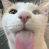 imonggyj