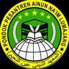 ppainunnaim