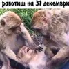 dimitpetrov