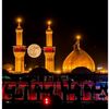shianeali15