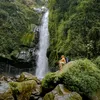 Mas mas Jogja