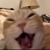 razz_106