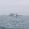 ngudanvn