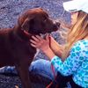 animalrescue