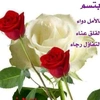 souadsouad836