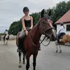 fara.vh