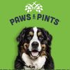 Paws & Pints