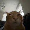 kozmikq