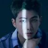 army.do.namjoon26