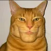 juliourciallontop
