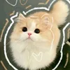 pee_810