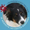 stephb107510
