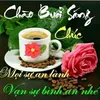 dy09iglf8qz8