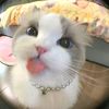 meisyaa_4
