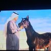 alialshammarei