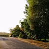 alvr07872