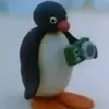pingusphotographer