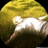 amorusder13th