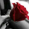 l.m1999l