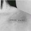 amor_fati_0004