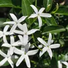 raoudhaajendoubi