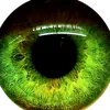 user120837473838377382